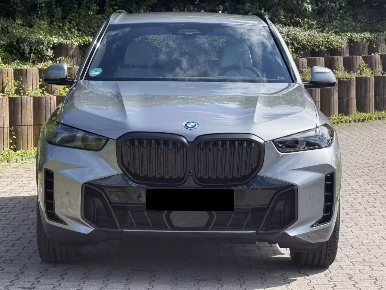 BMW X5 50e